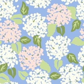 White and Pink Hydrangeas on Blue