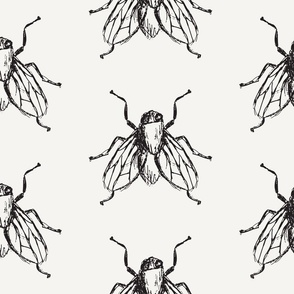Fly Illustration for Wallpaper & Fabric in Black & Off White