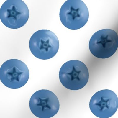 Blueberry Polka Dots