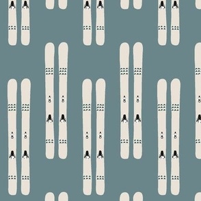 Winter Skis in Blue and Beige