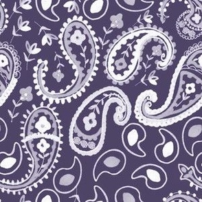 Paisley Passion-over coal blue
