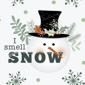 Smell Snow
