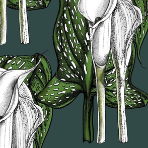 Arums are the new roses in tat contemporary style. Viridian green