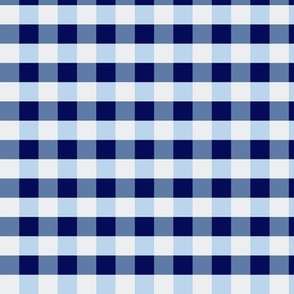 Blue and white plaid