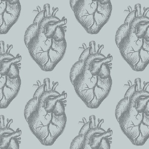 Anatomical Hearts in Light Blue for Wallpaper & DIY Projects