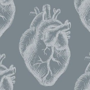 Anatomical Hearts in Denim Blue for Wallpaper & DIY Projects