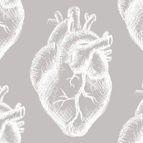Anatomical Hearts in Light Grey & White for Wallpaper & DIY Projects