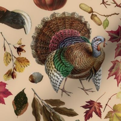 Thanksgiving approaching, vintage turkey, antique pumpkin,nostalgic colourful autumn leaves - beige orange