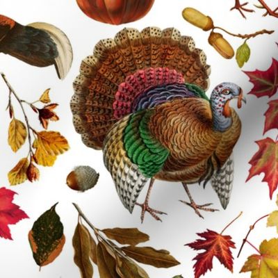 Thanksgiving approaching, vintage turkey, antique pumpkin,festive food, nostalgic colourful autumn leaves - white