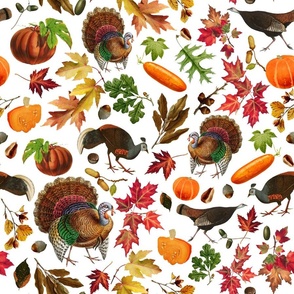 Thanksgiving approaching, vintage turkey, antique pumpkin,festive food, nostalgic colourful autumn leaves - white
