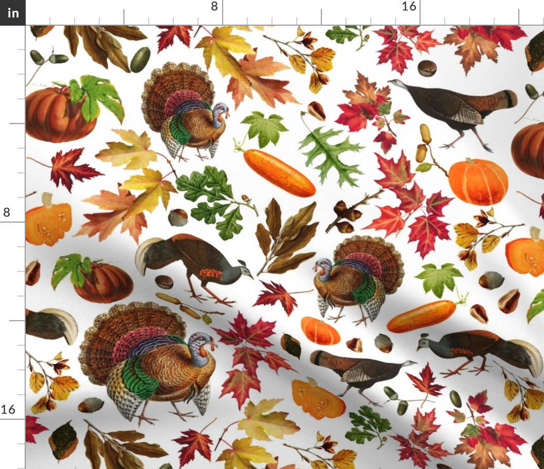 Thanksgiving approaching, vintage turkey, antique pumpkin,festive food, nostalgic colourful autumn leaves - white