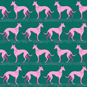 Walk with pink and green elegant greyhounds | medium