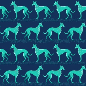 Walk with green and blue elegant greyhounds | medium