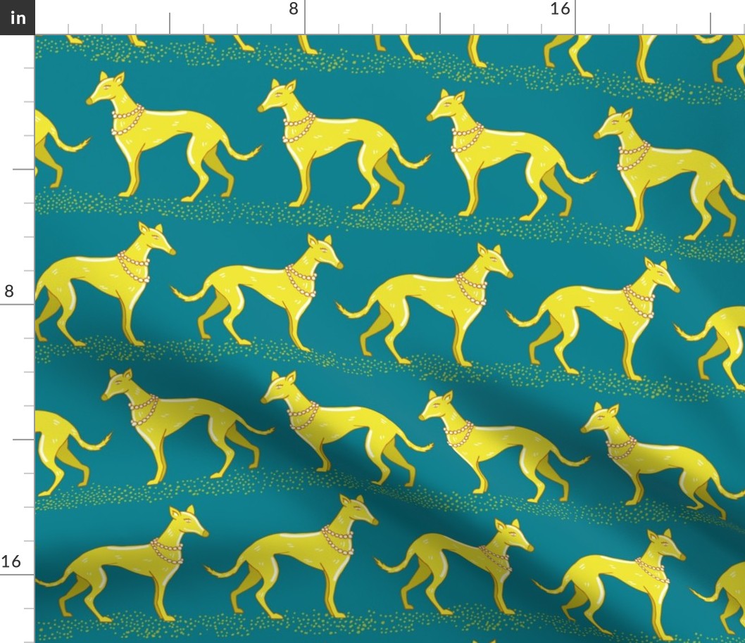 Walk with yellow and green elegant greyhounds | medium