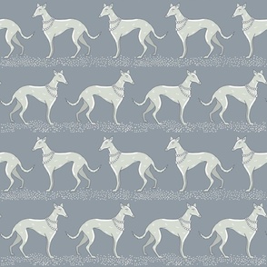 Walk with gray elegant greyhounds | medium