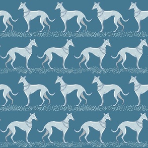 Walk with teal blue elegant greyhounds | medium