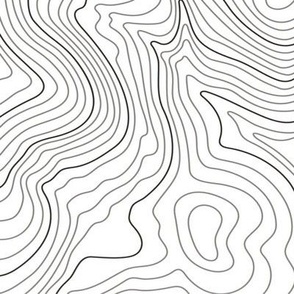 Topography lines - white