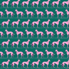 pink elegant greyhounds on green | small