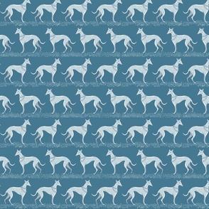 Walk with teal blue elegant greyhounds | small