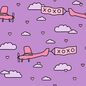 Valentine Planes: Pink on Purple (Large Scale)