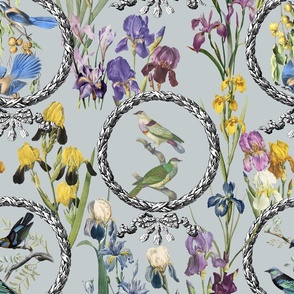 Irises and Birds in Frames (powder blue background) 