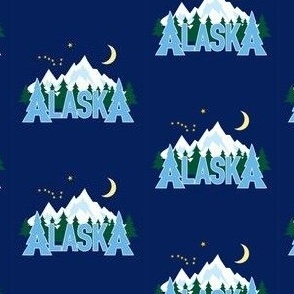 AlaskaMtnDipperDRKwinter22