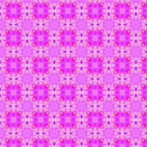 Sweet William pattern VI