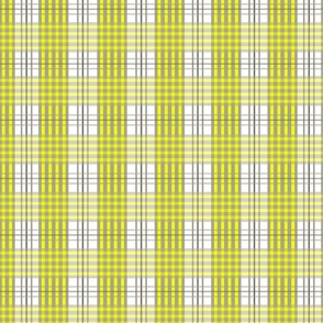 Lemon Yellow and Grey