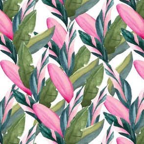 watercolor Tropical leaves | Tropical rainforest | Pink and green