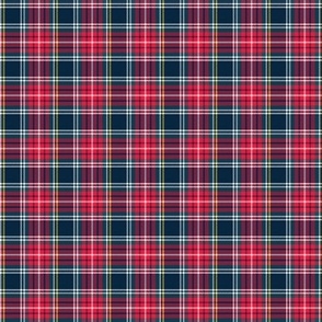 mini // holiday tartan - C