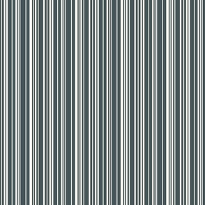 Holiday Stripe_Blue