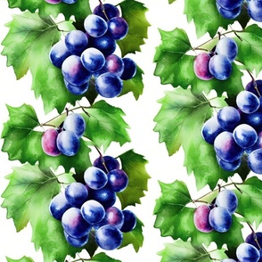 Grape, 10.5"x10.5", L