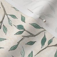 Eucalyptus Branches - Cream