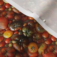 Heirloom Tomatoes