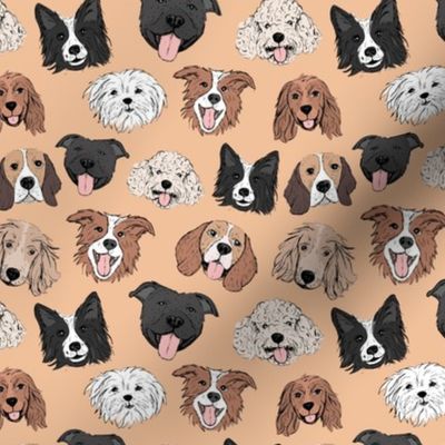 Dogs and puppies - freehand illustration boho style border collie beagle poodle staffies and shih tzu faces on peach cream