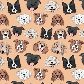 Dogs and puppies - freehand illustration boho style border collie beagle poodle staffies and shih tzu faces on peach cream