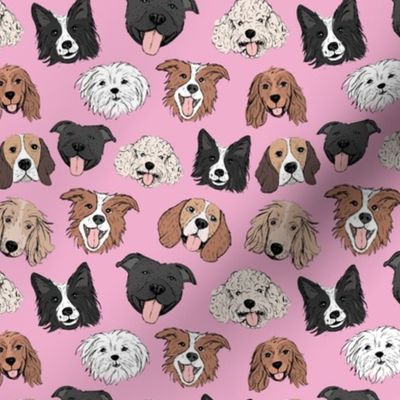 Dogs and puppies - freehand illustration boho style border collie beagle poodle staffies and shih tzu faces on pink