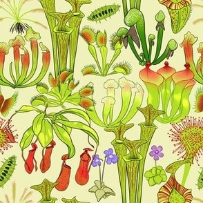 Carnivorous Plants Medium - Pale Green