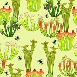 Carnivorous Plants - Pitchers - on pale green - Medium