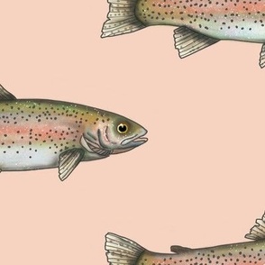 Oversize Rainbow Trout on Pink Salmon