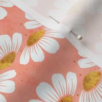 Daisy Stripe | Peach Background