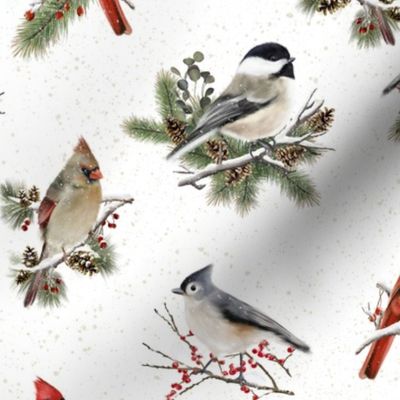 Winter Christmas Garden Birds with Evergreens on White 