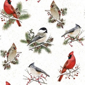 Winter Birds with Snow in White 