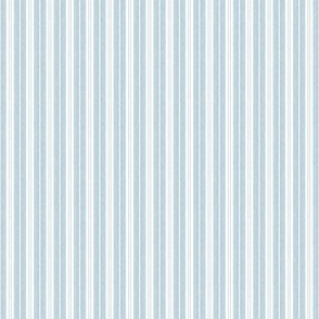 Velvety Snake Stripe in Powder Blue Small  