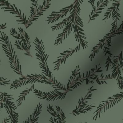 Pine Boughs (green )