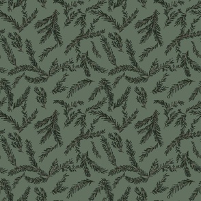 Pine Boughs (green )