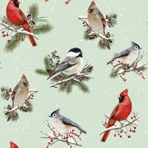 Winter Christmas Backyard Birds in Snow on Mint Green