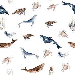 Ocean Animals