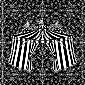 (M) Midnight Circus BW Tent LeonardosCompass 13898175