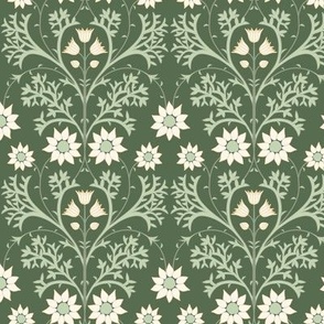 Small Arts and Crafts Australian Native Flannel Flowers with Cactus Green Background
